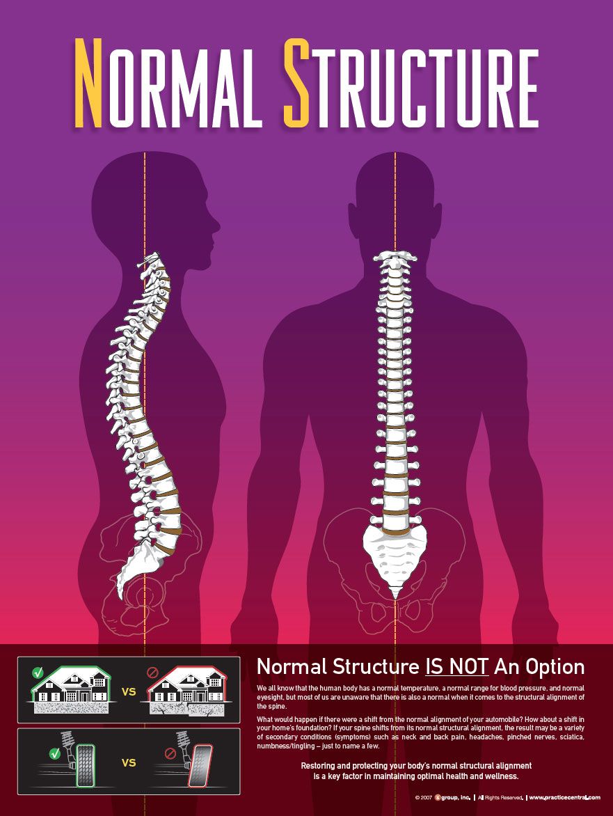 Normal Structure of the Spine for Optimal Function through structural chiropractic in Vermont